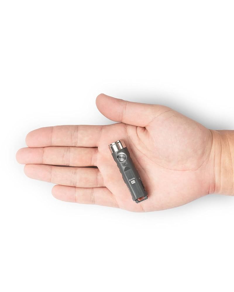 Amazon.co.jp: Aurora A1-G4 キーチェーン懐中電灯 650 高